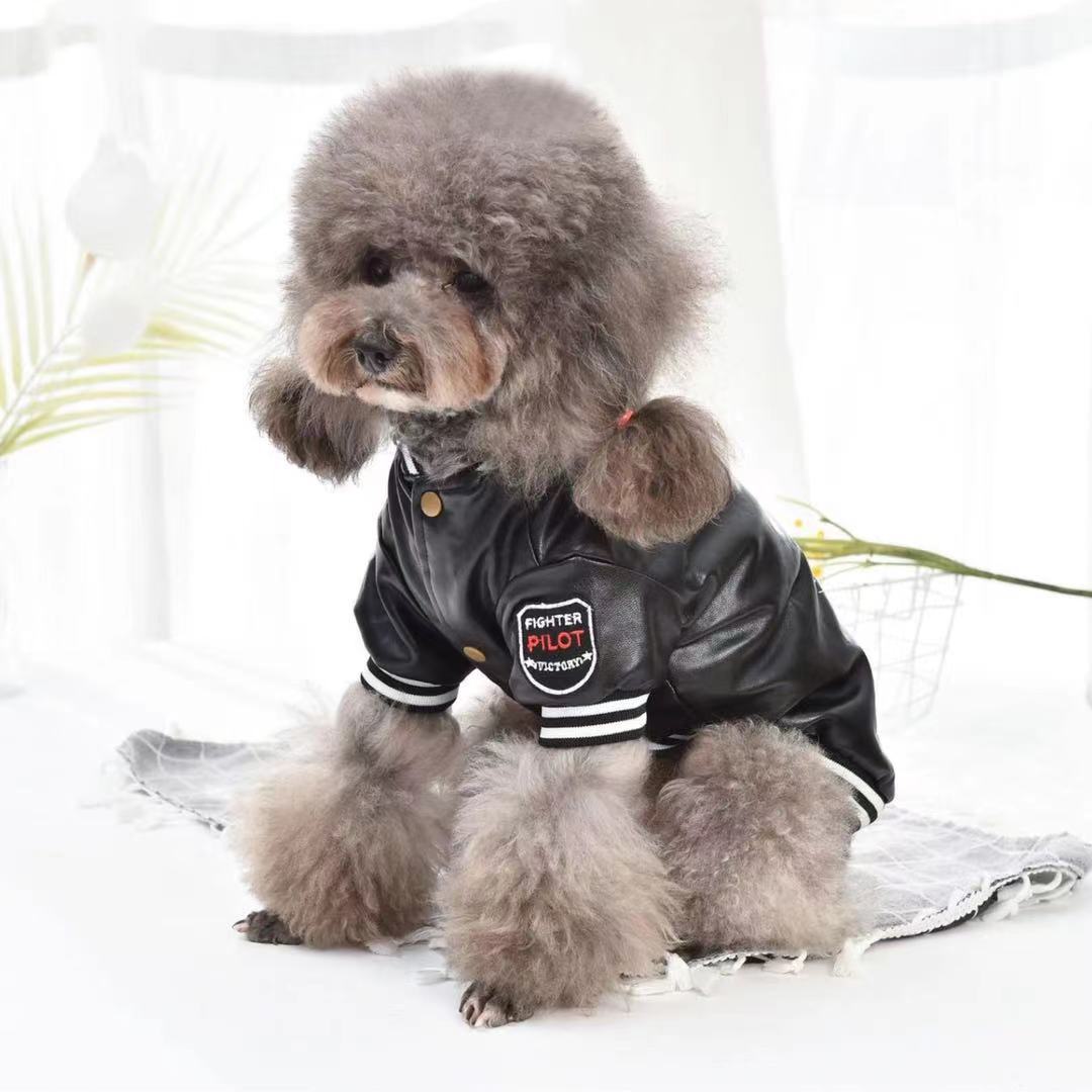 Dog Clothes, Leather Clothes, Small Dogs, Cotton-padded Pets