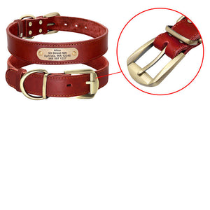 Personalized Dog Collars