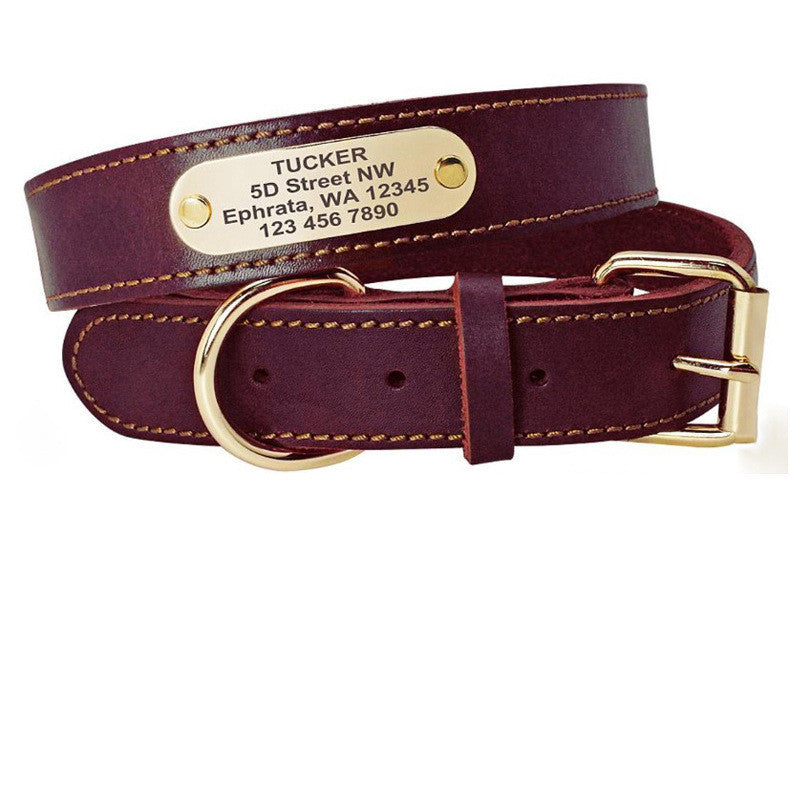 Personalized Dog Collars