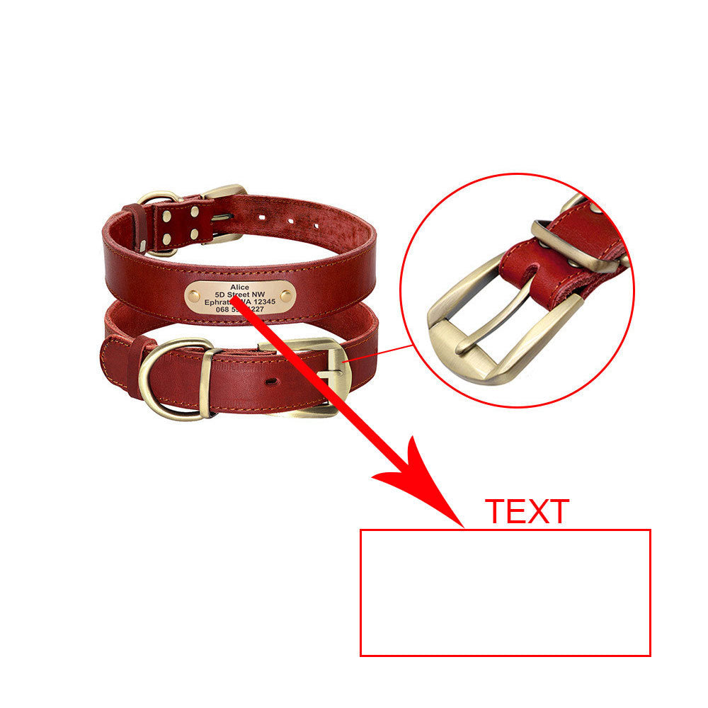 Personalized Dog Collars