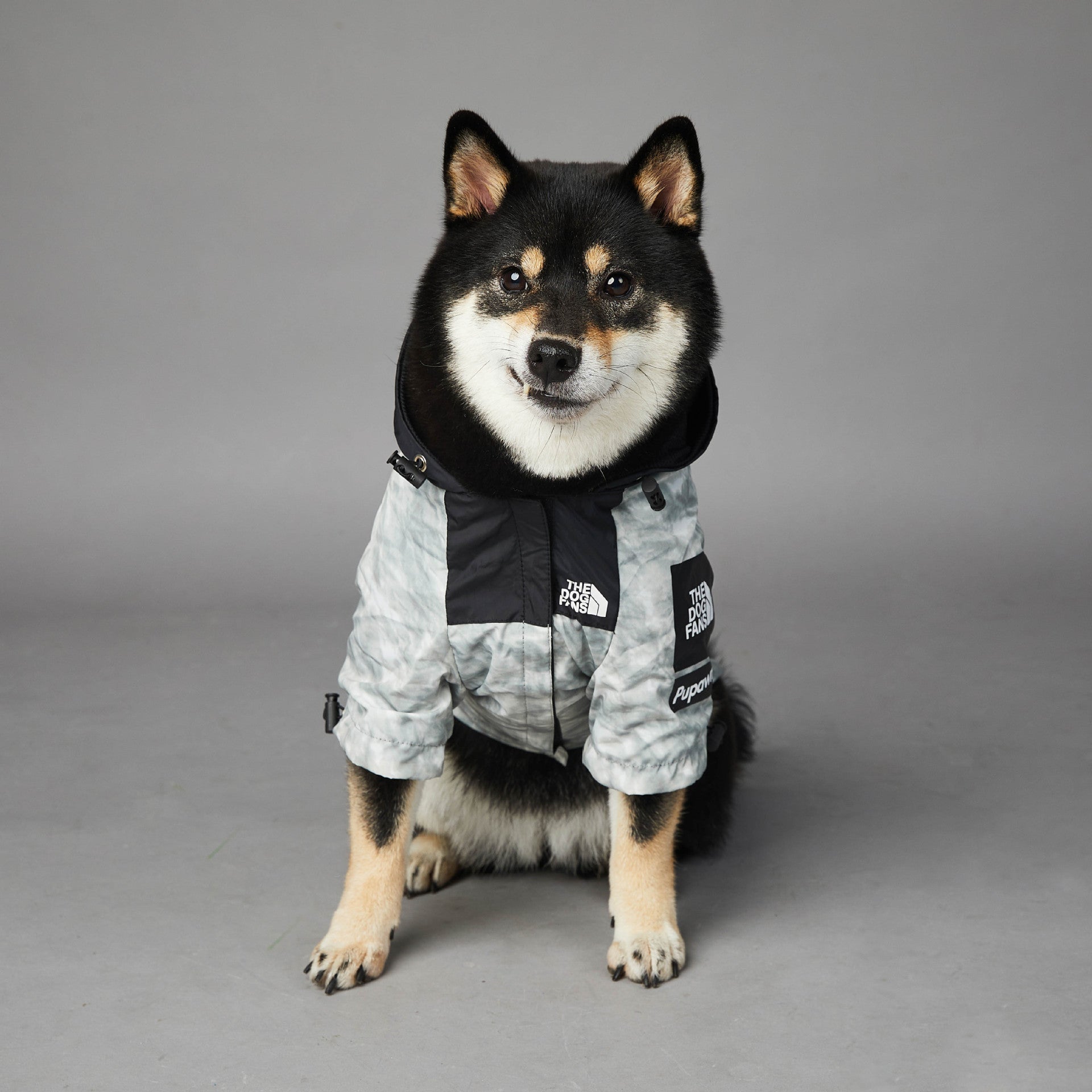 Dog Noodles New Dog Large Dog Dog Pet Shell Jacket