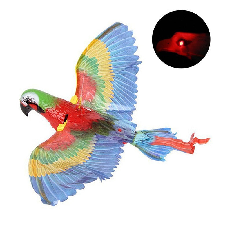 Simulation Bird