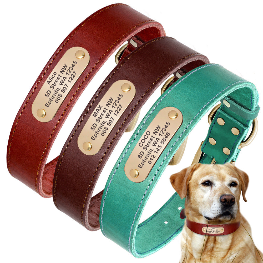 Personalized Dog Collars