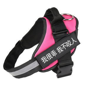 Personalized Dog Harness