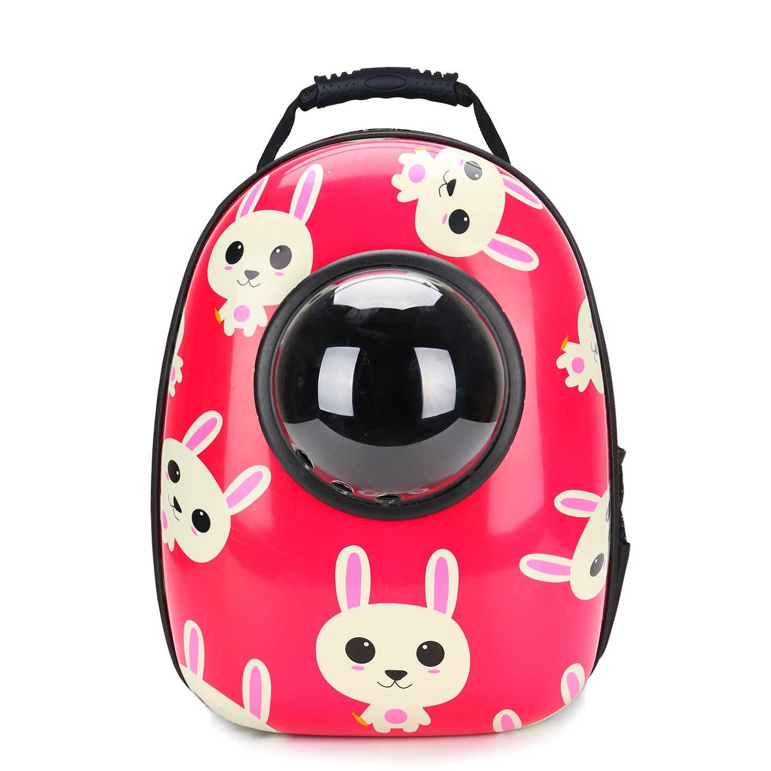 Pet bag, space capsule bag, out