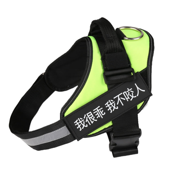 Personalized Dog Harness