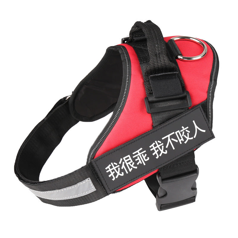 Personalized Dog Harness