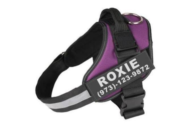 Personalized Dog Harness