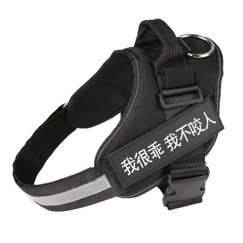 Personalized Dog Harness